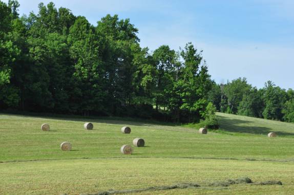 Fazendas ao longo da Blue Ridge Parkway, na Virginia - Estados Unidos